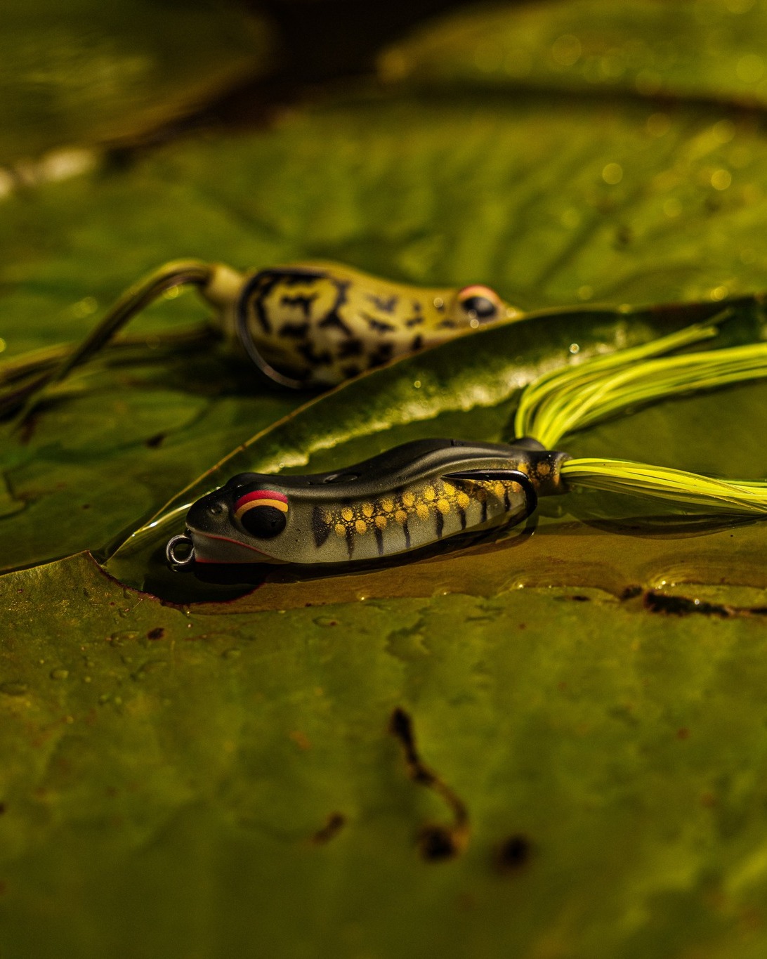 6th - The Vega Hush Frog delivers where other frogs fail. Its cupped ...