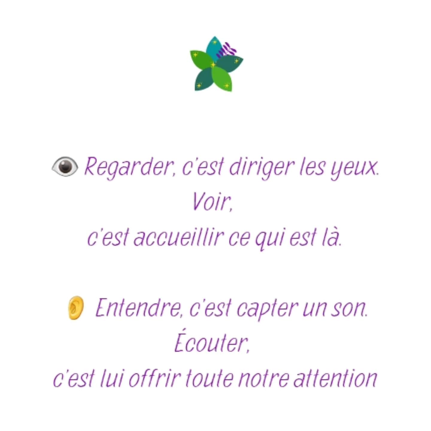 Lulu les sens en conscience | Bussy-Saint-Georges