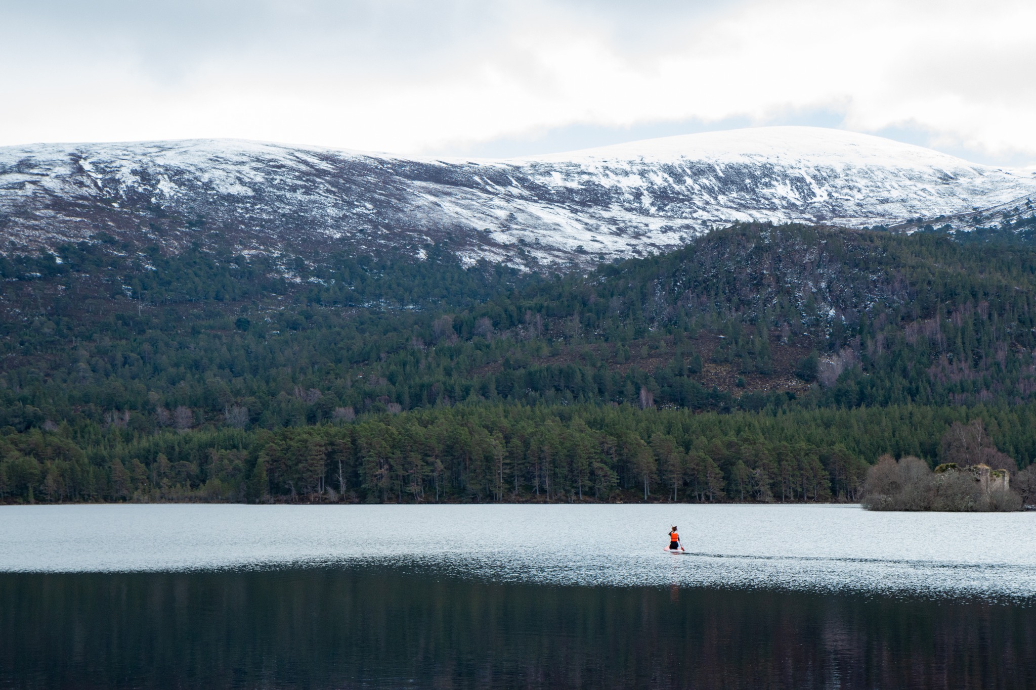 Thomas Rintoul Photography