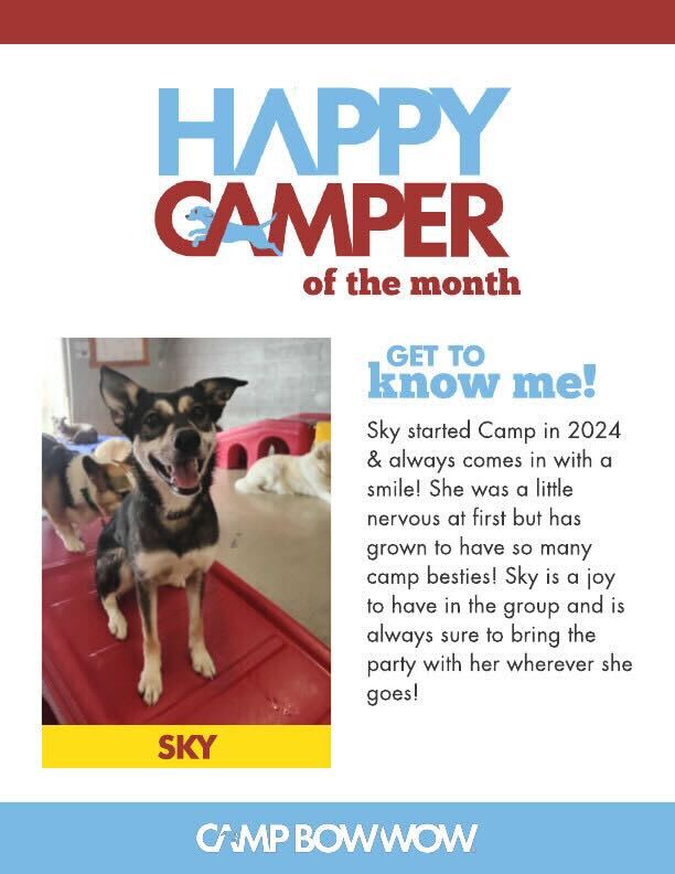 🎉 Say hello to our July Campers... - Camp Bow Wow Rochester | Facebook