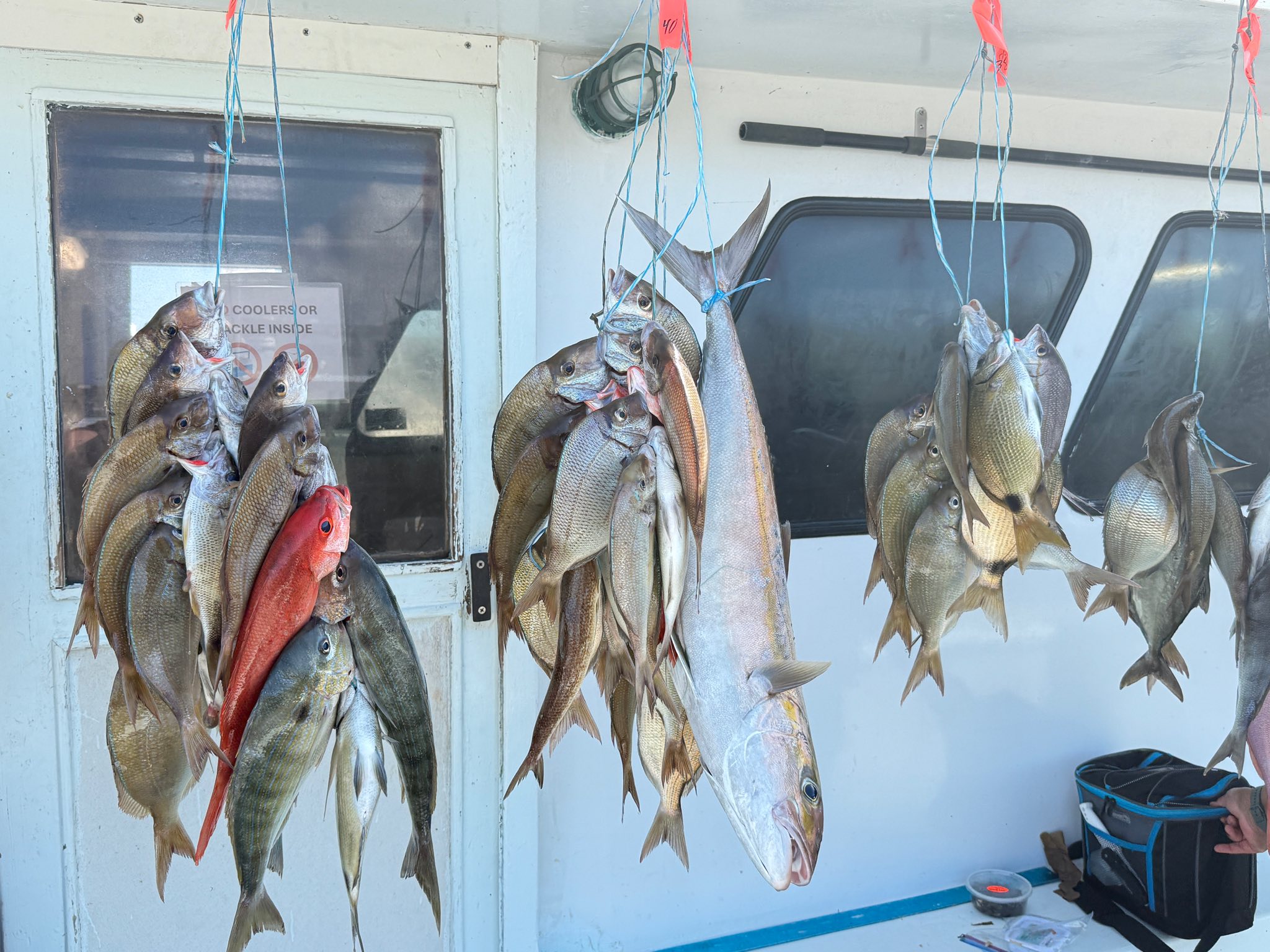 Capt Stacy Fishing Center... - Capt Stacy Fishing Center