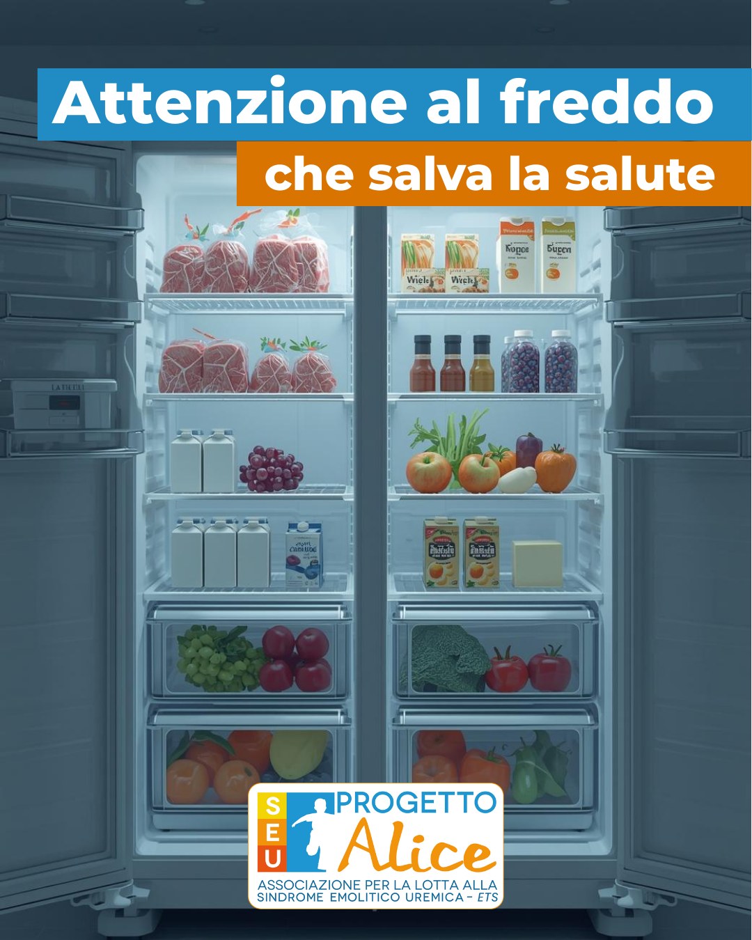 Progett... - Progetto Alice Associazione per la lotta alla SEU
