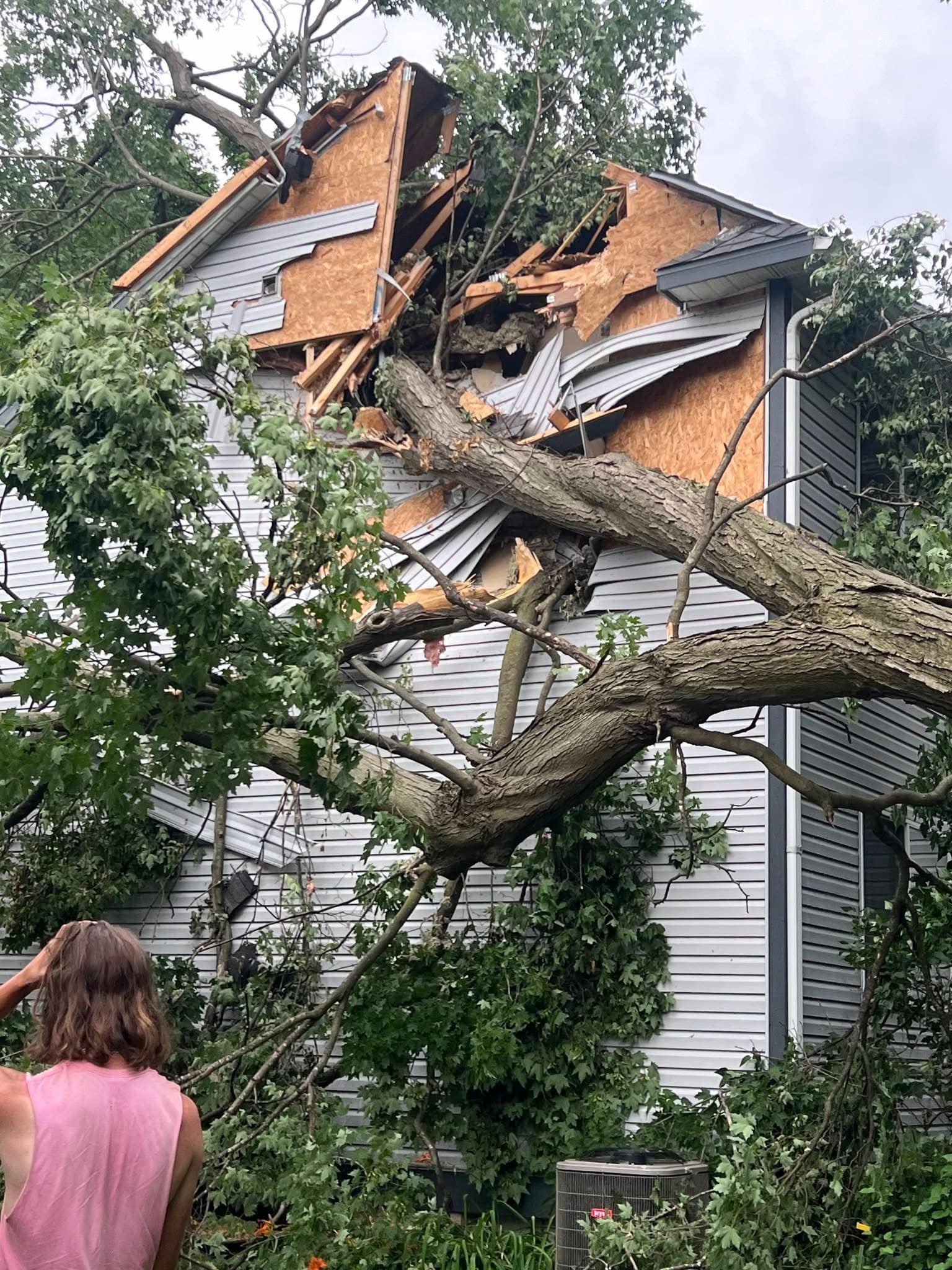 Lou's Cutting Edge Tree Service LLC | Eaton Rapids MI