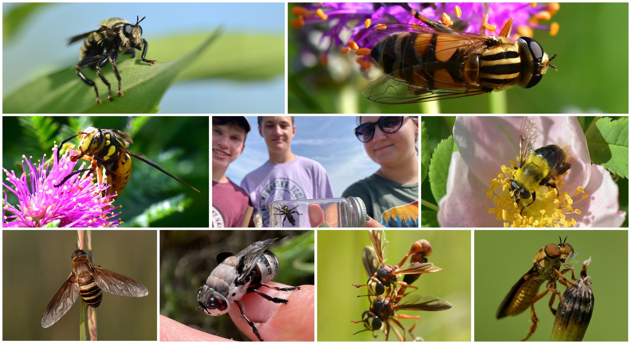 Community Scientists of Nebraska Network - Grab your friends and family ...