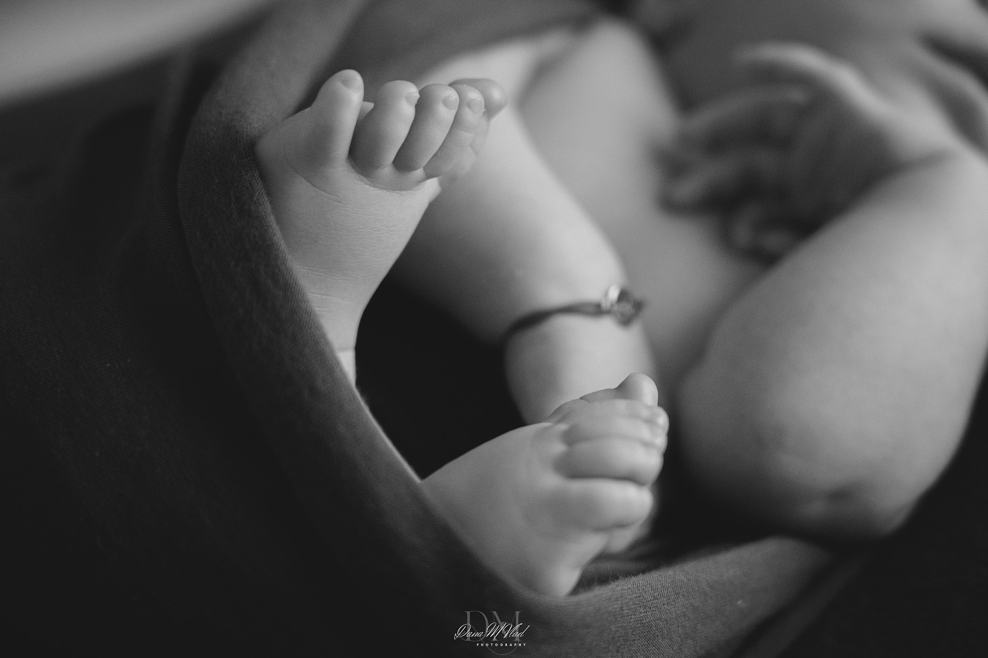 Dana Maria Photography