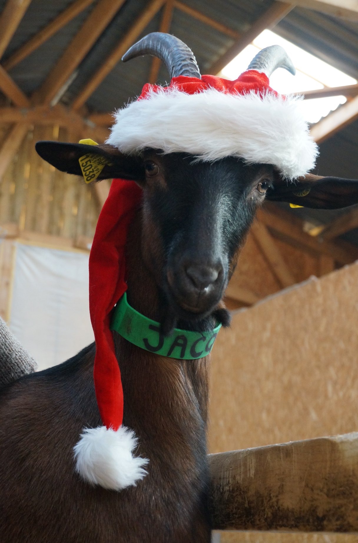 la-ch-vrerie-de-bliquetuit-saint-nicolas-de-bliquetuit