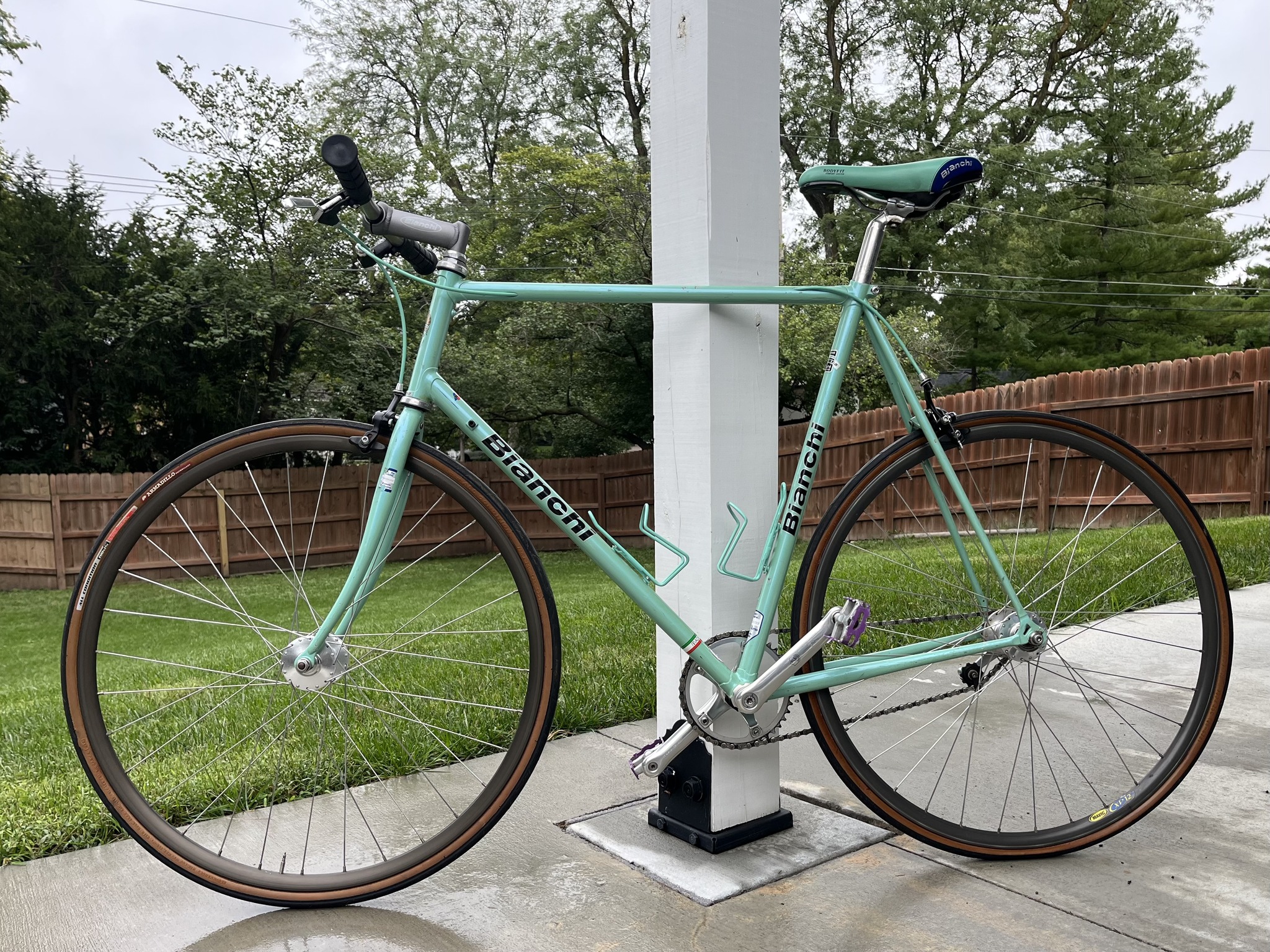 My 2003 (?) Bianchi with carbon fork. Campagnolo Veloce.