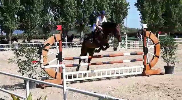 Cecilia Sabato Rider