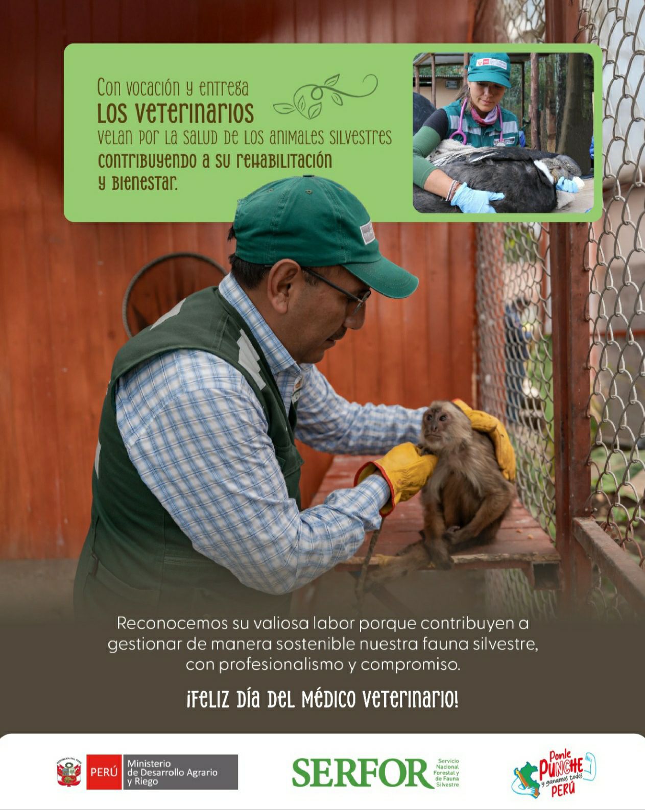 Serfor Perú - Serfor Perú added a new photo.