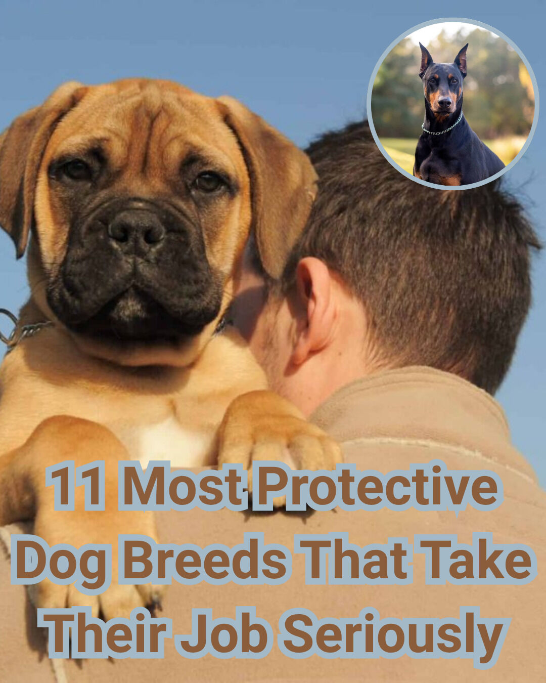iHeartDogs - Fiercely loyal 🛡️ These pups take “protect and serve” to ...