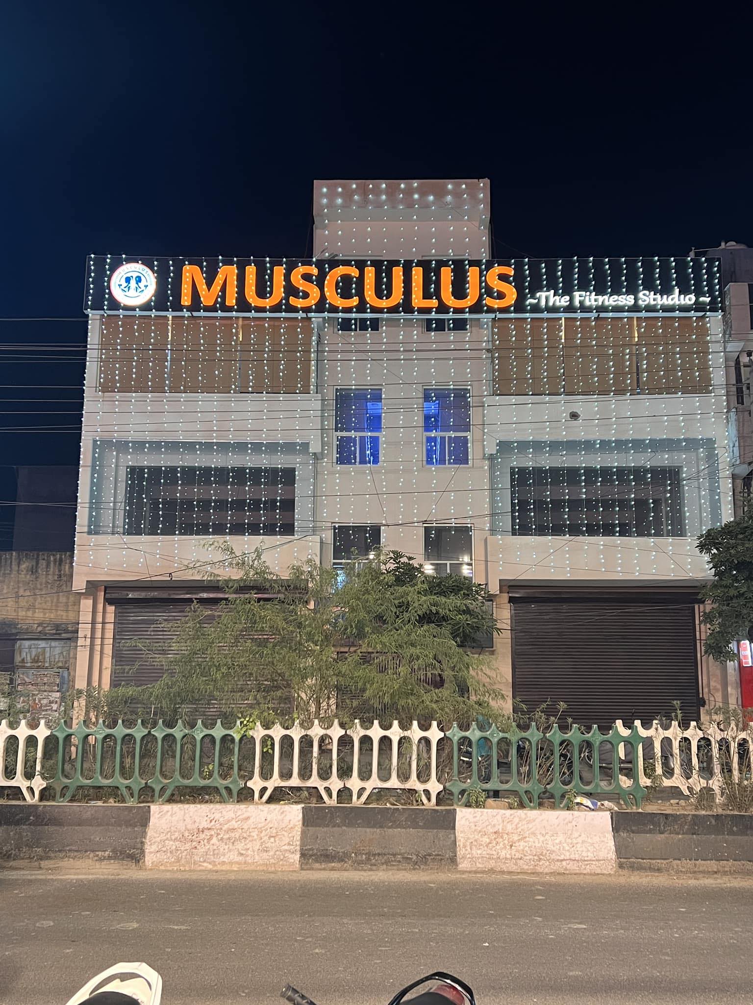 Musculus the Fitness Studio | Delhi