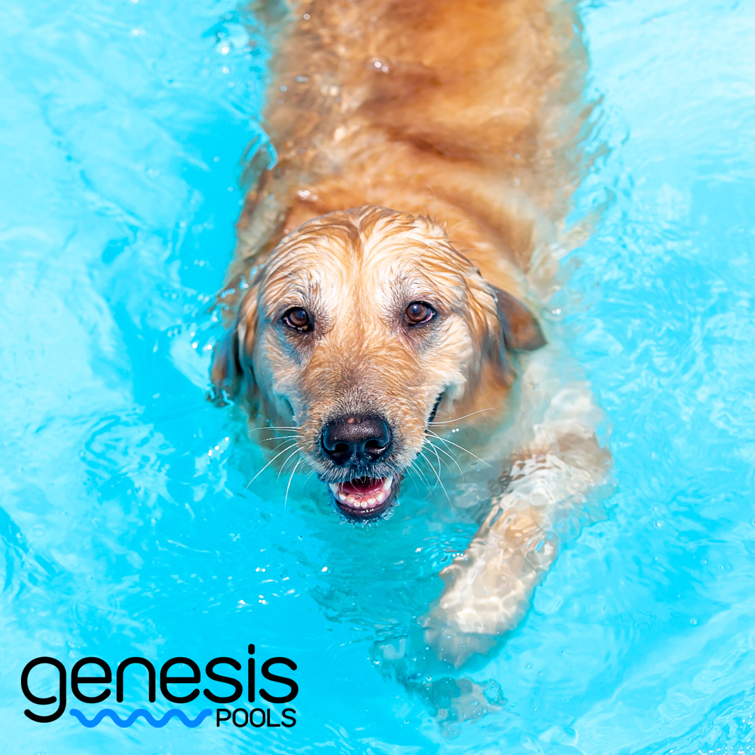 Baystate Pool Supplies and APC | North Billerica MA
