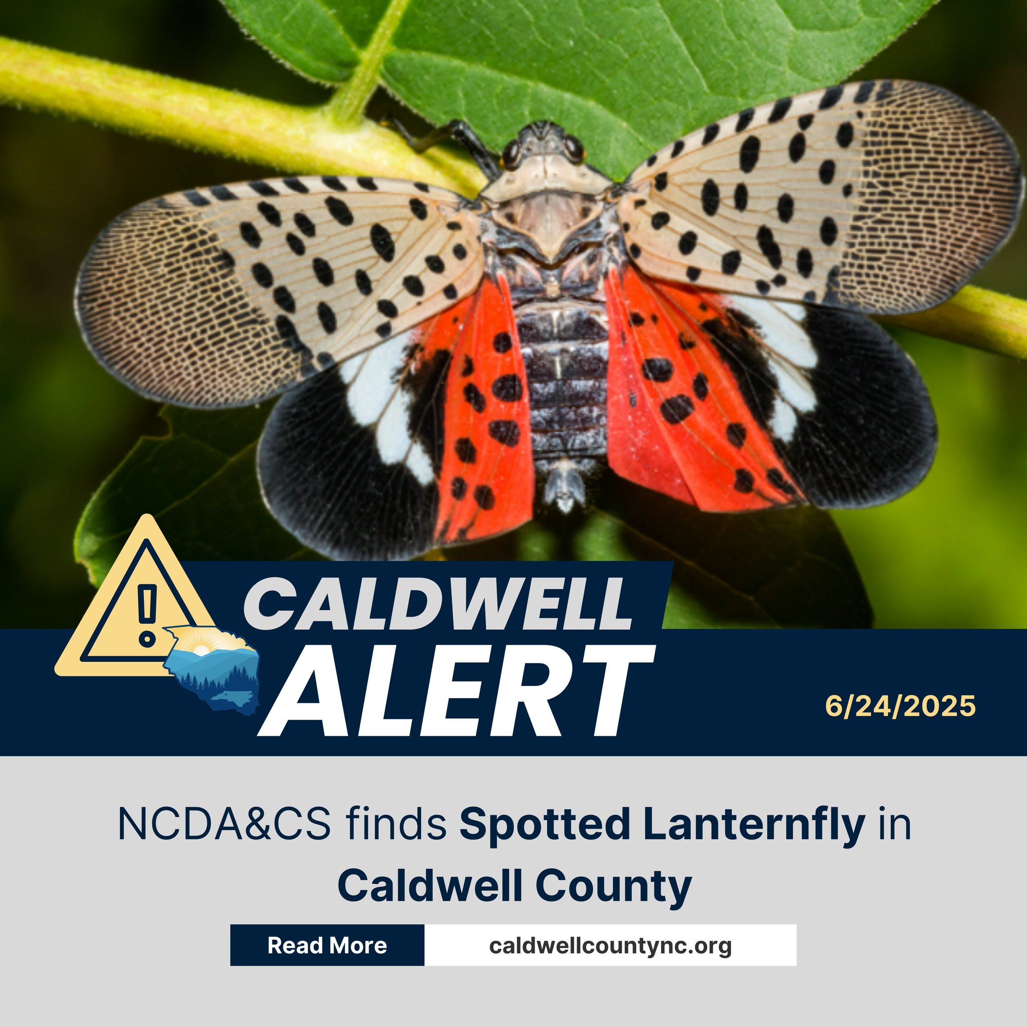 Caldwell - The North Carolina Department of Agriculture and Consumer ...