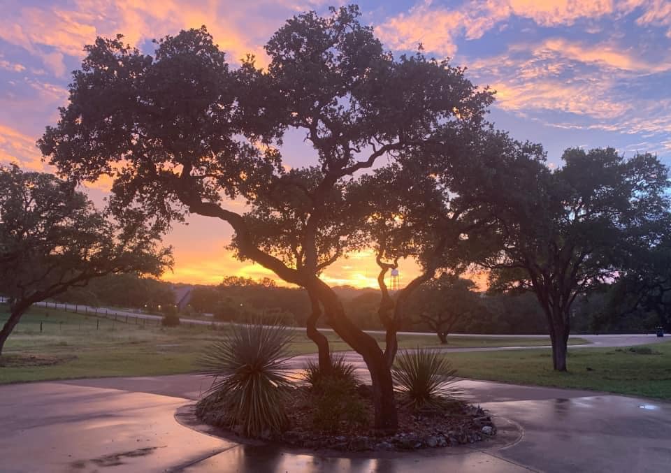 LifeLawn Tree Service | New Braunfels TX