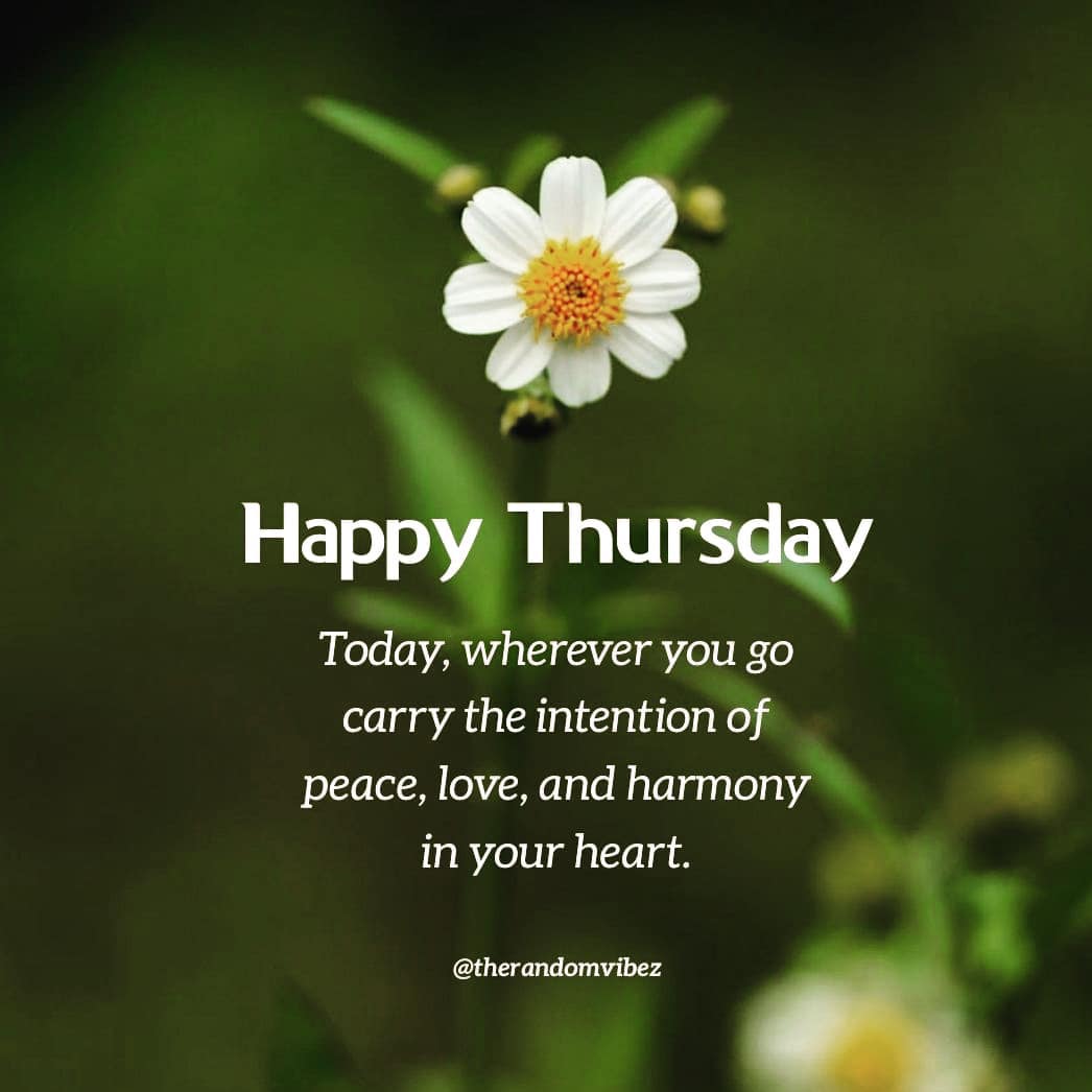 Happy Thursday! I hope the... - Performing ACTS for Change