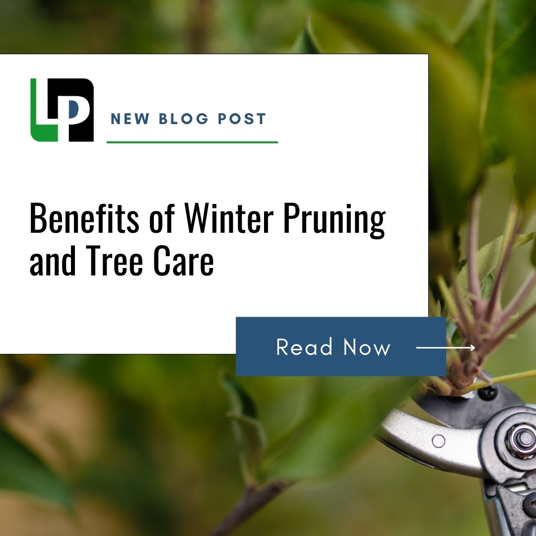LP - Did you know winter is the perfect time to prune your trees? 🌳 ️ ...