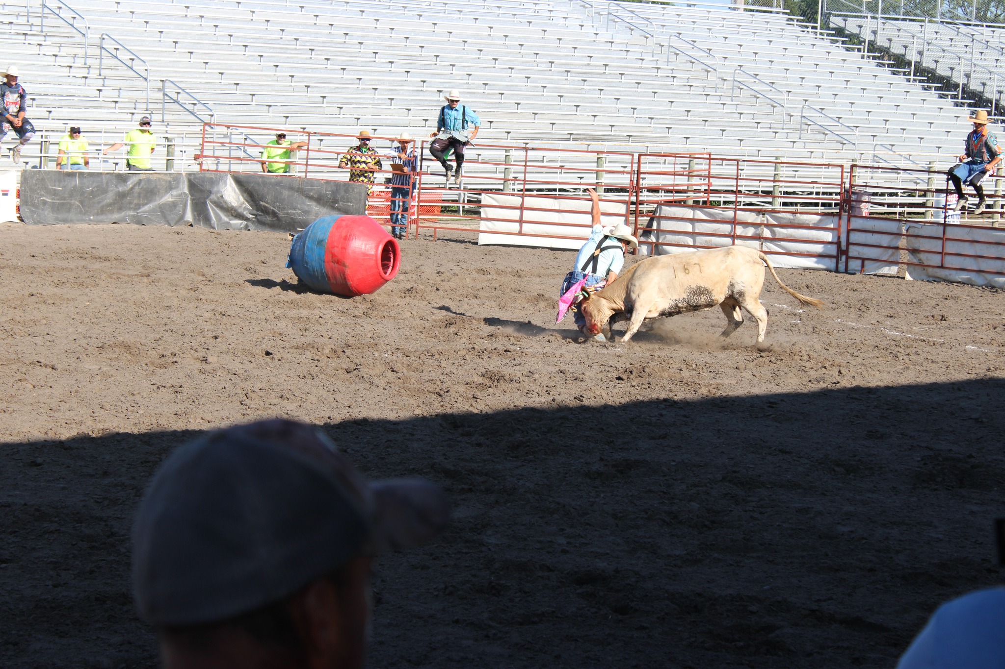 Madison County Fair -... - Madison County Fair - Nebraska