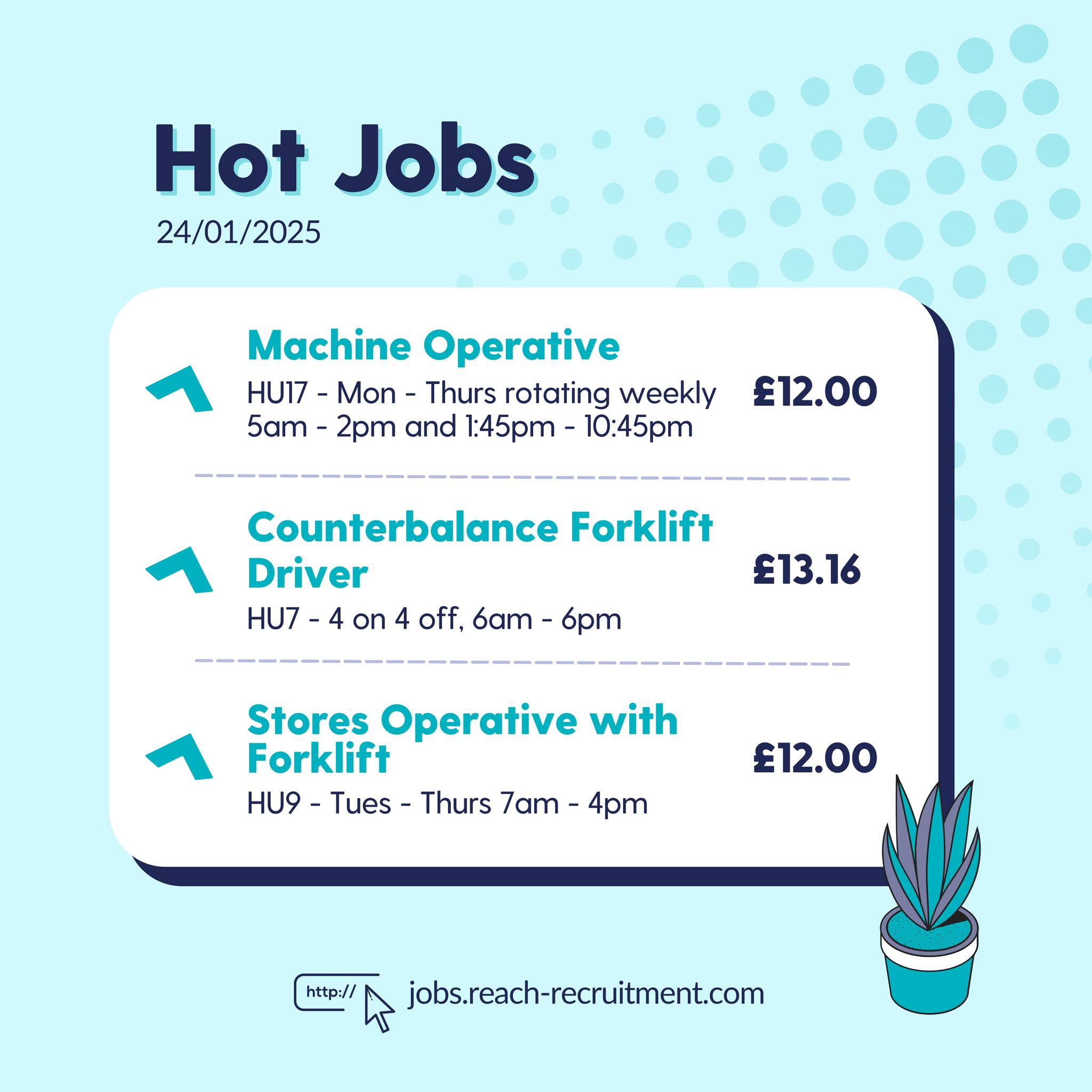 Reach Recruitment - 📣 Check out our latest Hot Jobs of the Week! If ...