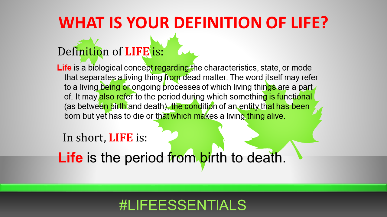 Life Essentials Definitions This Is My Opinion Of Facebook