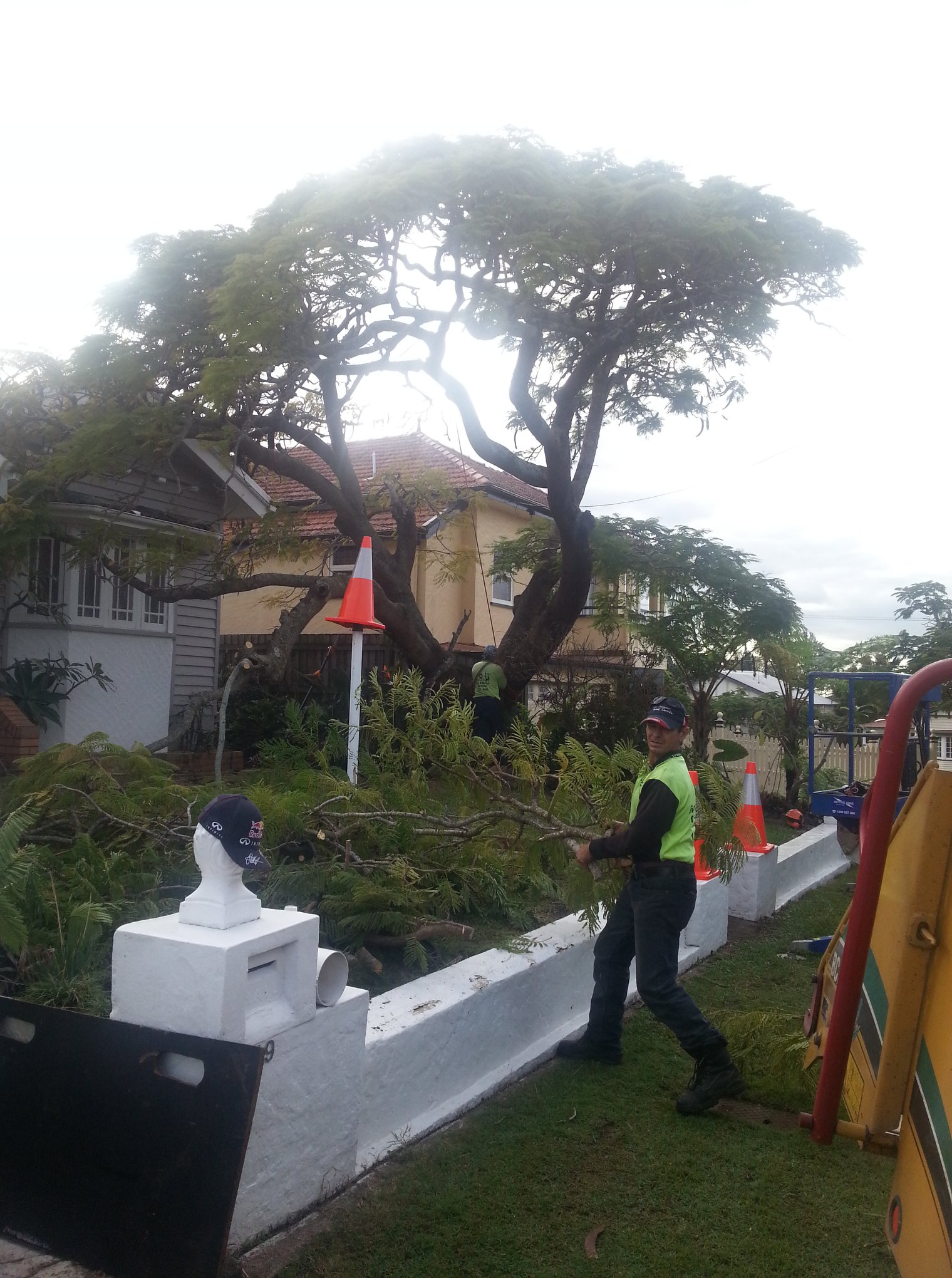 Vince's Tree Services