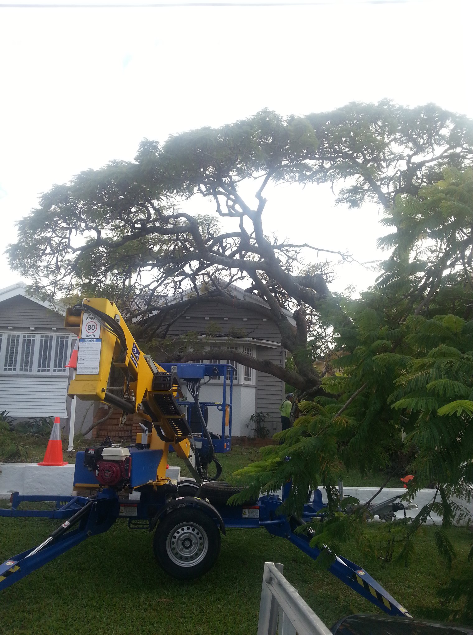 Vince's Tree Services