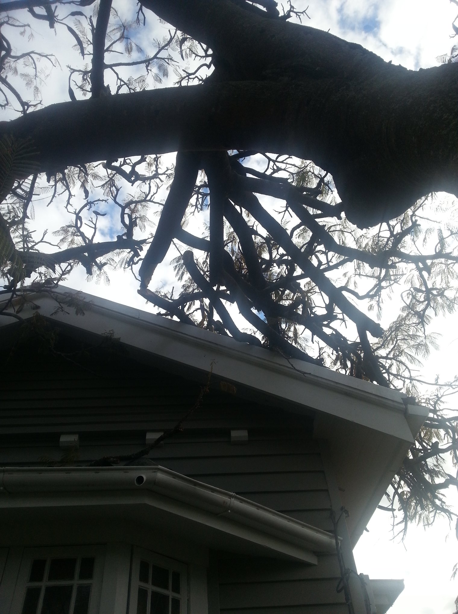 Vince's Tree Services