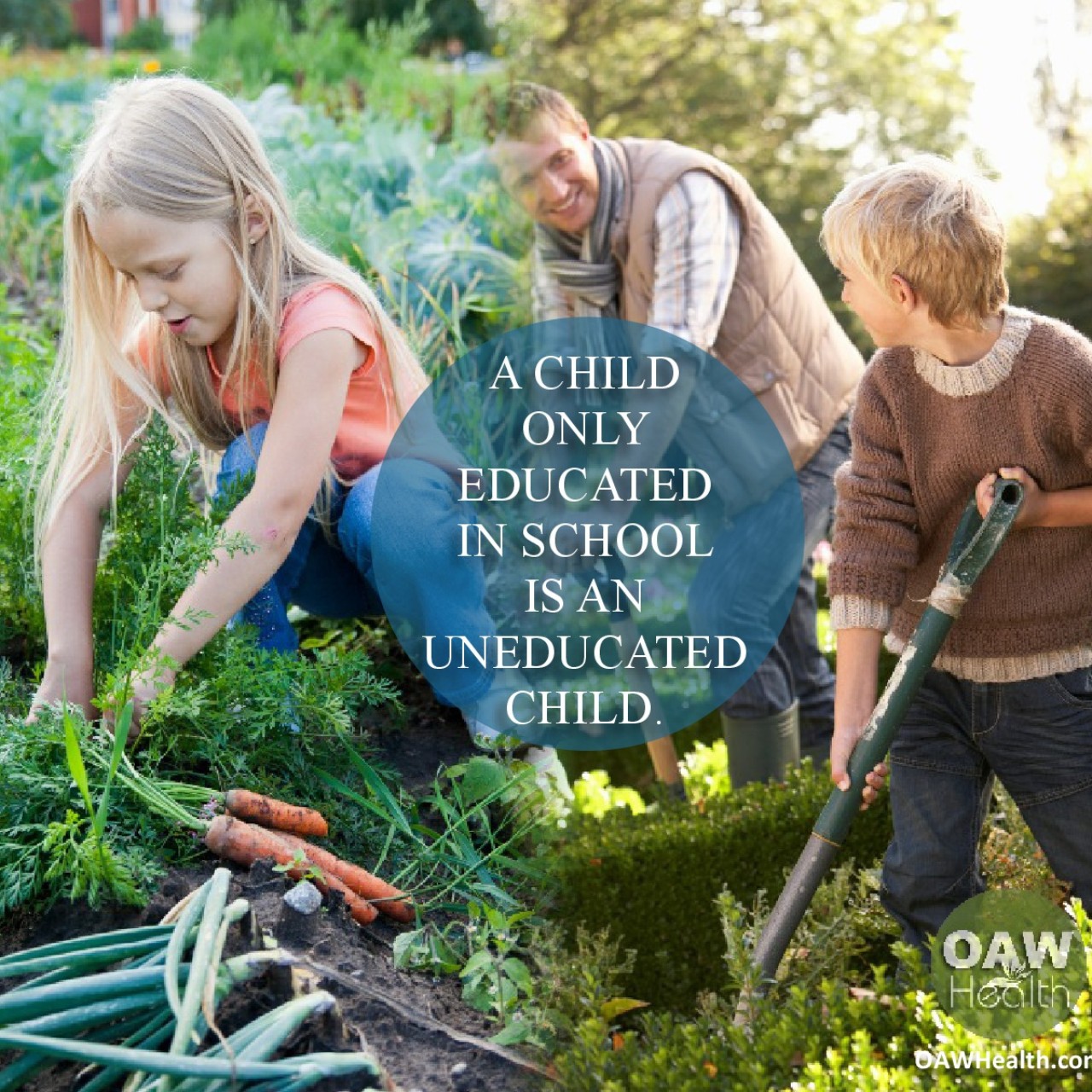 Oasis - Proper education is far more than textbooks, grades, and ...