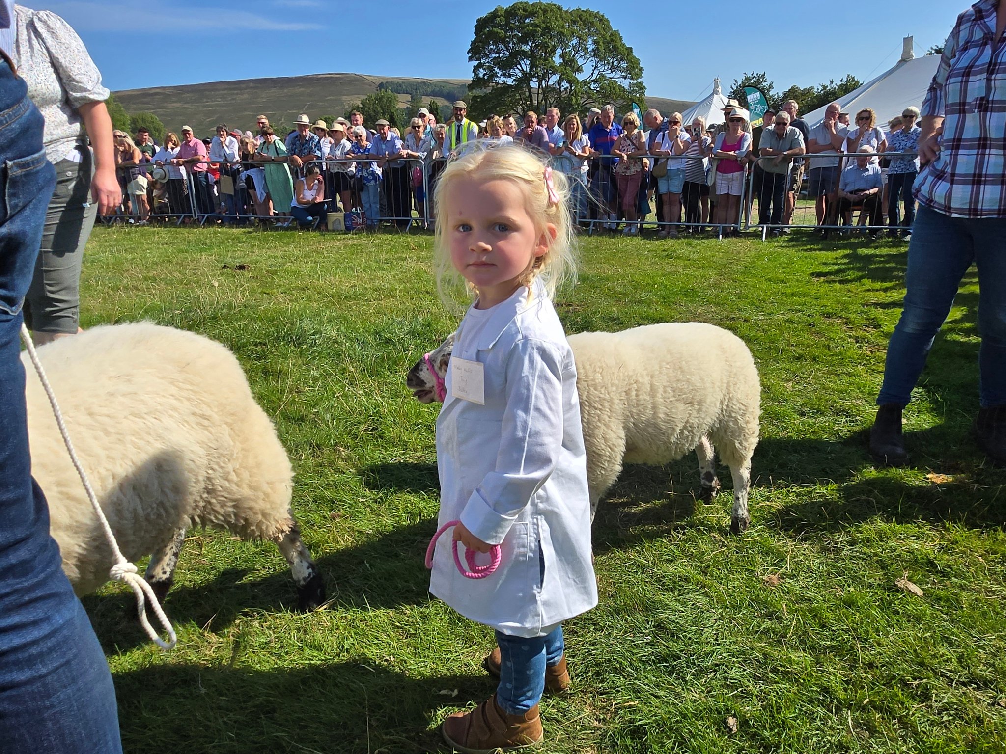 Hope Show - What a brilliant sunny Hope Show just a few... | Facebook