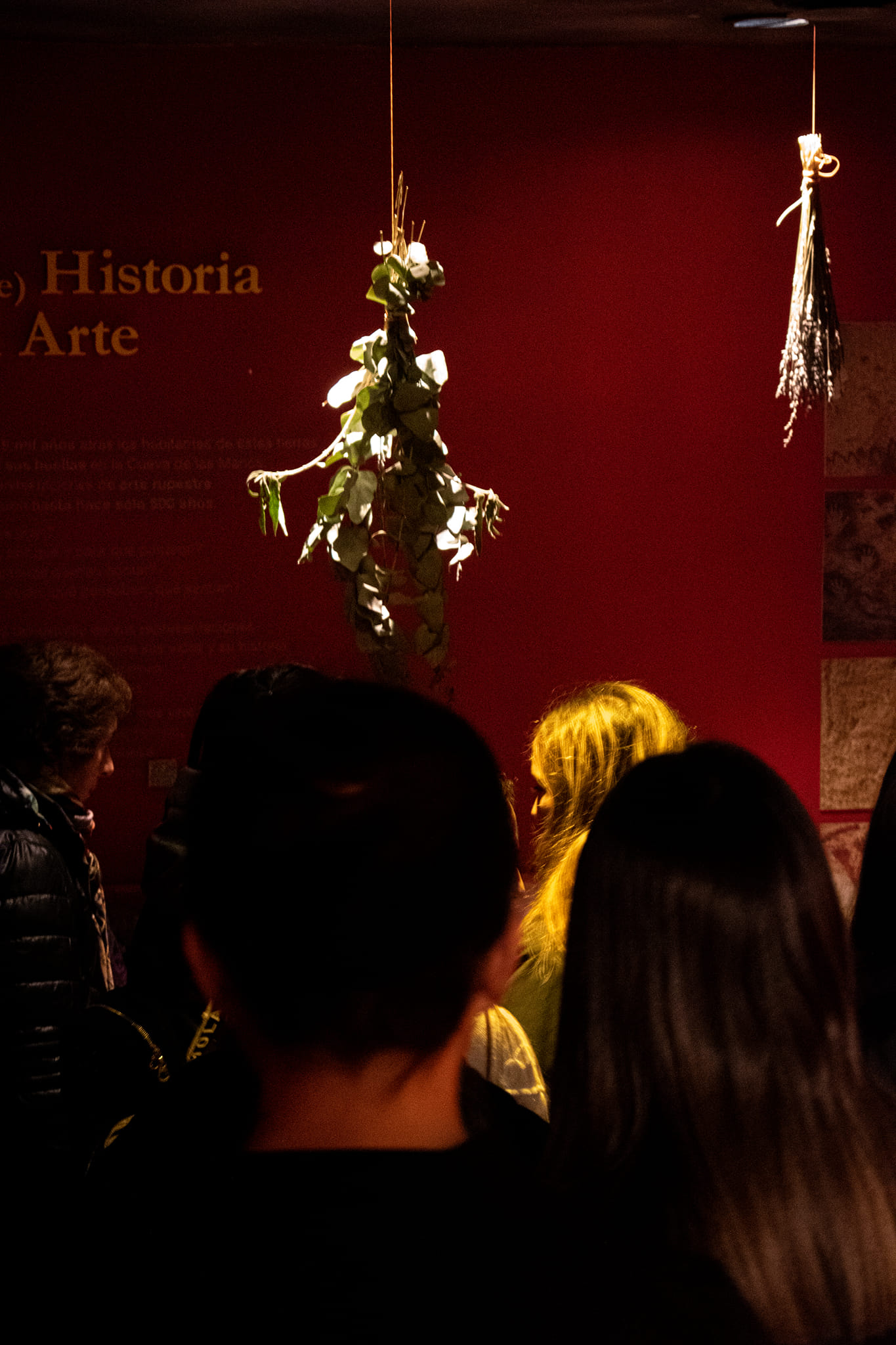Museo de Arqueología Carlos Gradin | Perito Moreno