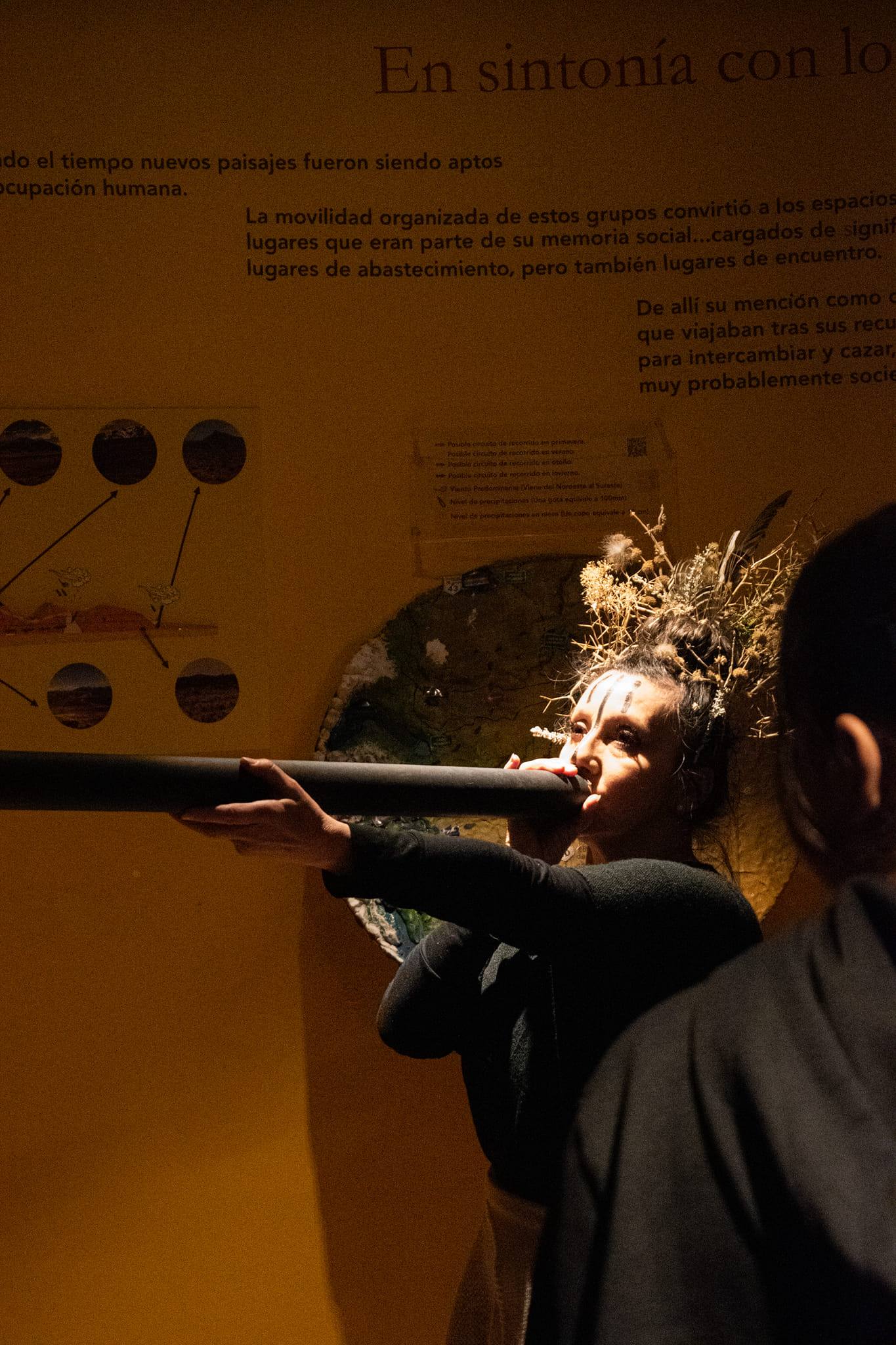 Museo de Arqueología Carlos Gradin | Perito Moreno
