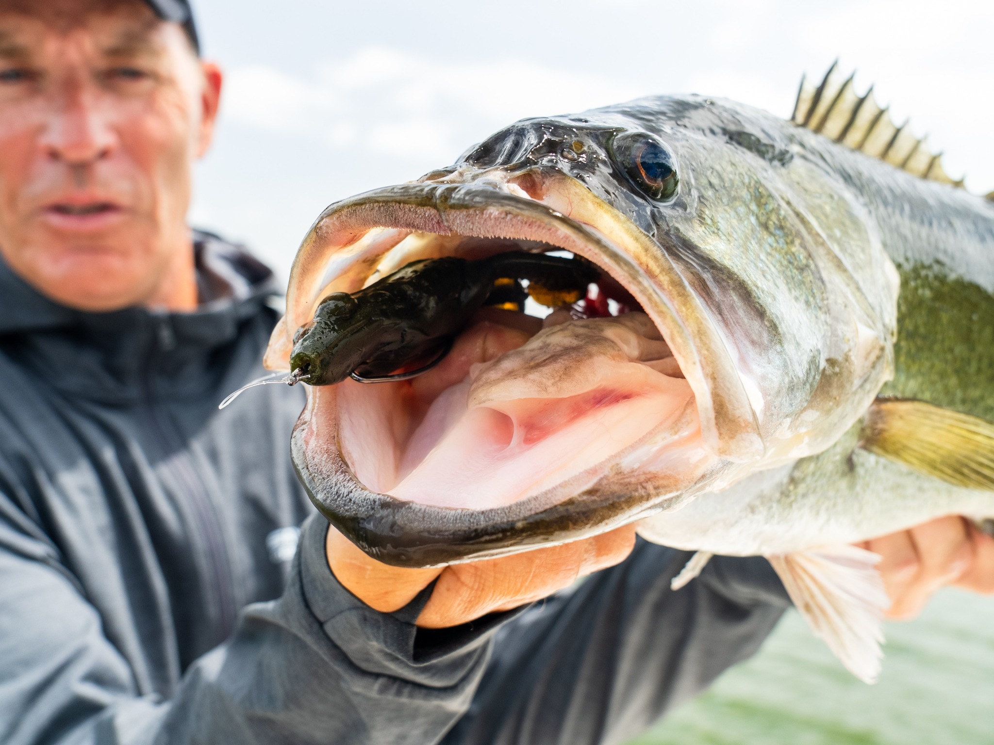 Savage - Bigger the Toad, bigger the bite‼️🔥 The new Tough Toad XL has ...