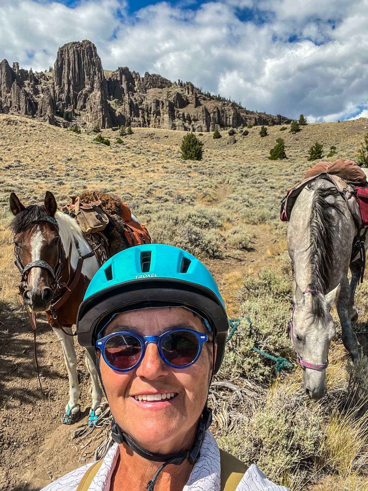Scout's - Jim Mountain. The landscape around Yellowstone is fascinating ...