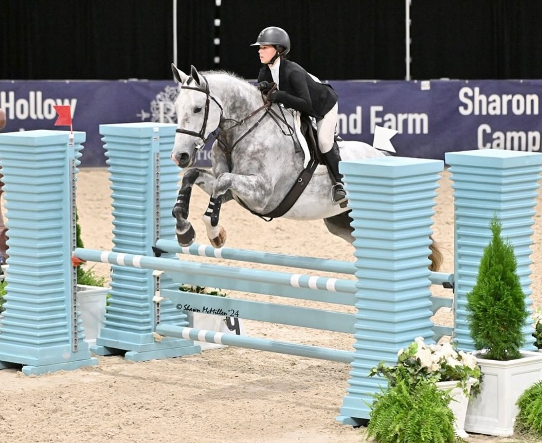 Falcon Ridge Stables | Woodstock GA