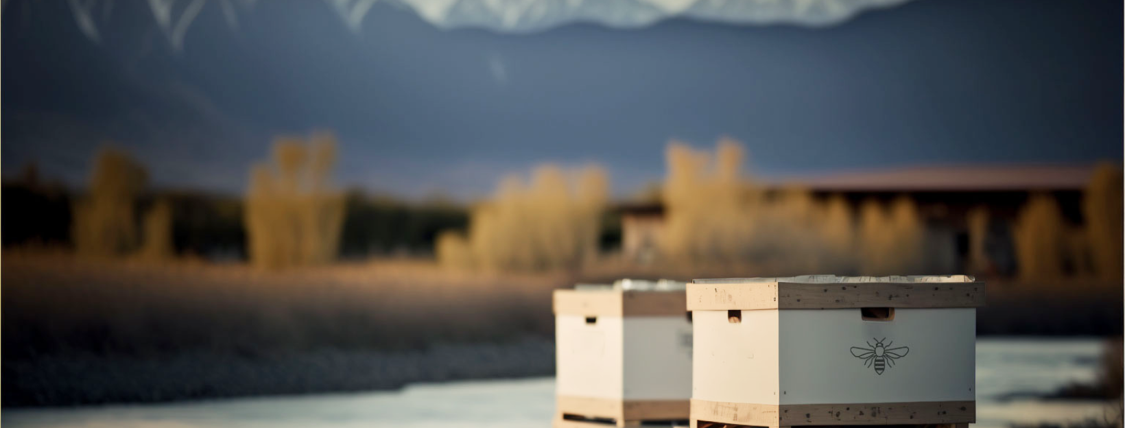 Bow River Bees | Calgary AB