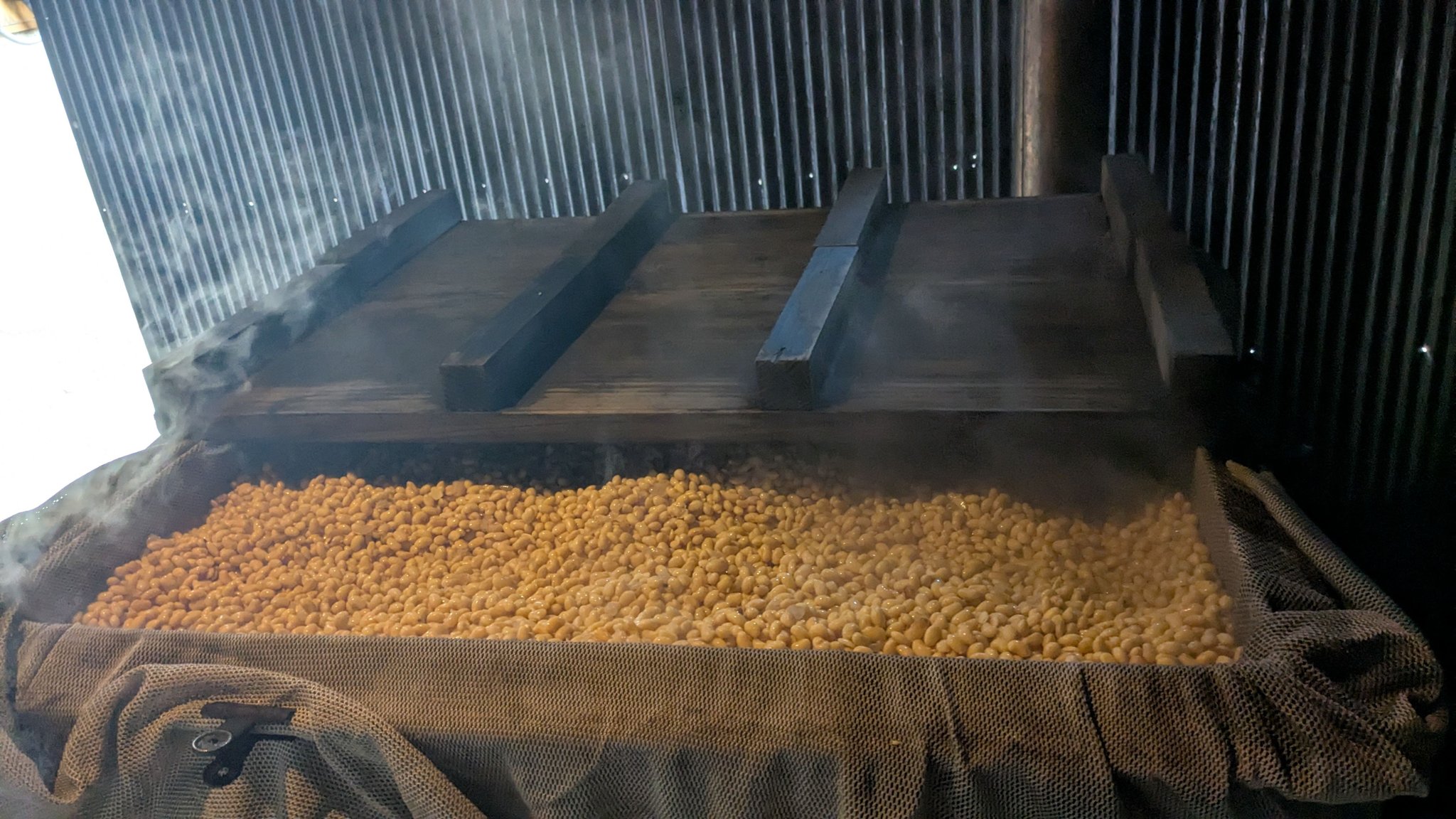 ひっぽの元気な味噌 - 最終日は大豆を大釜で蒸す | Facebook