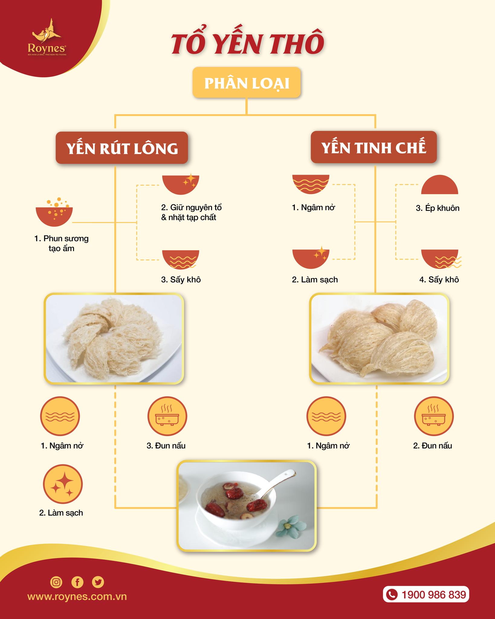 Roynes - 🤔 NÊN CHỌN TỔ YẾN RÚT LÔNG HAY TỔ YẾN TINH CHẾ
