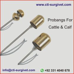 CTI - Probangs For Cattle & Calf Probangs for Cattle & Calf are ...