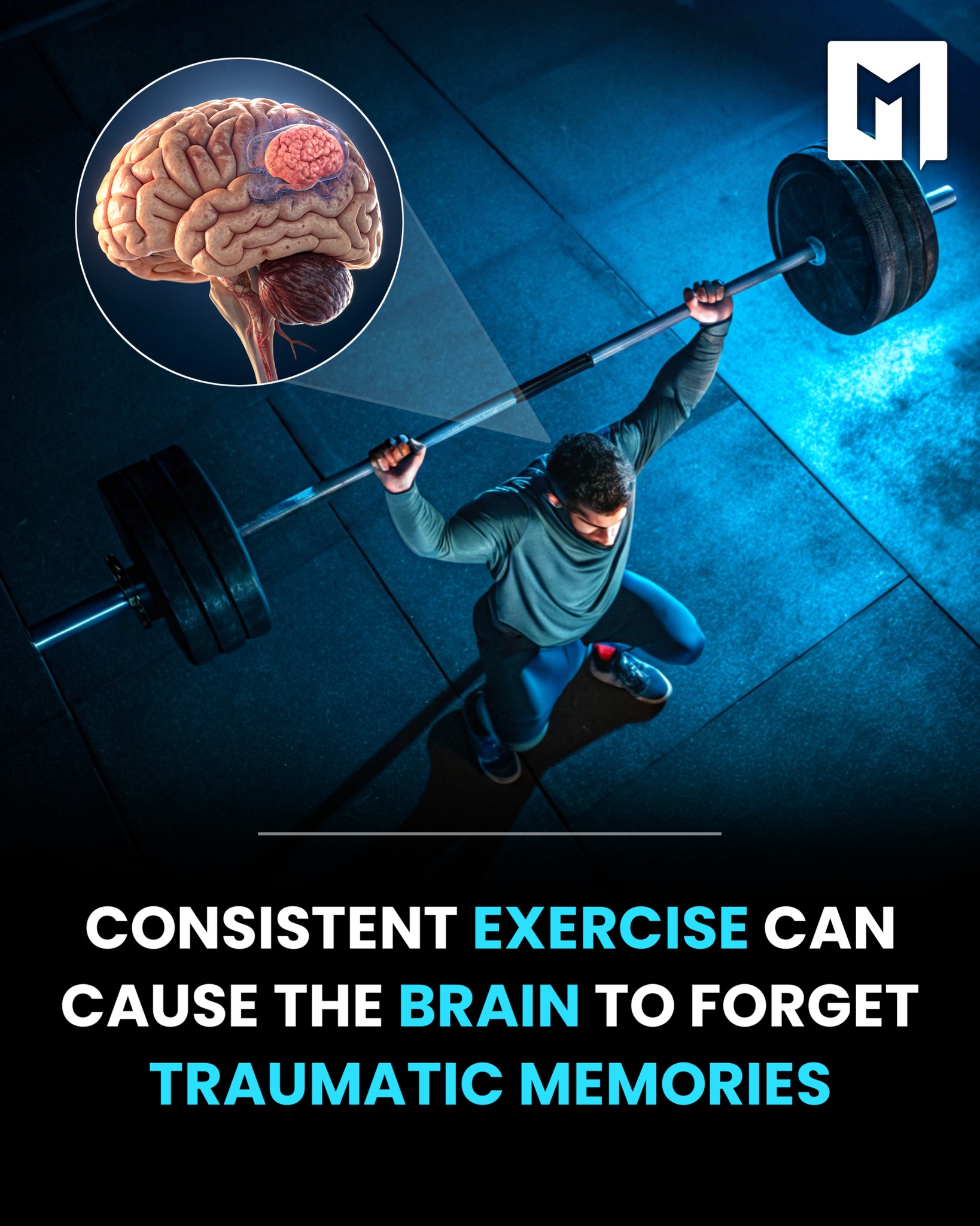 Mechanical - Exercise Boosts Neurogenesis, May Disrupt Trauma and ...