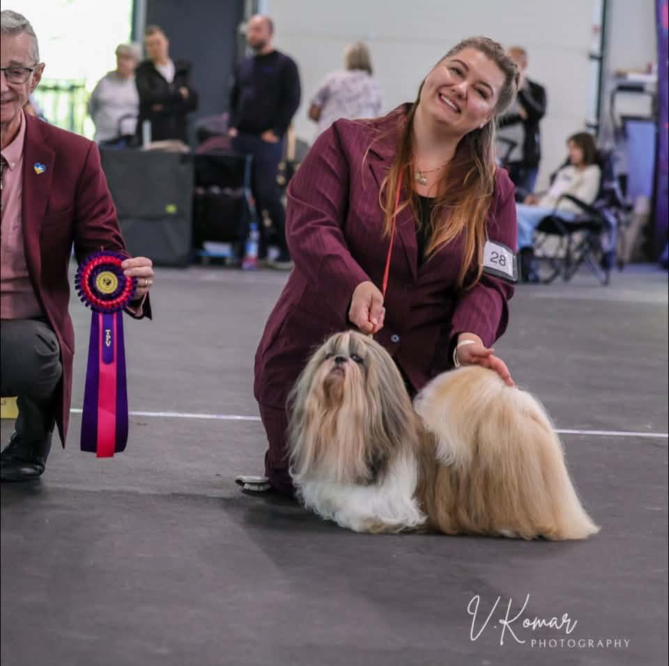 Pet Pursuit - 🖤 JCh. Pet Pursuit Xcellence Is Attitude... | Facebook