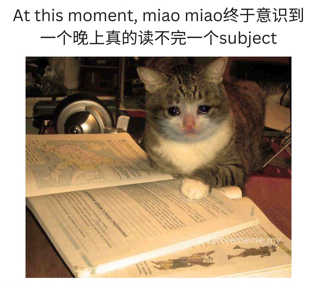 Tarcee Meme - 读不完 真的读不完 . IG: tarceememe_my . . #梗 #梗圖 #梗图... | Facebook