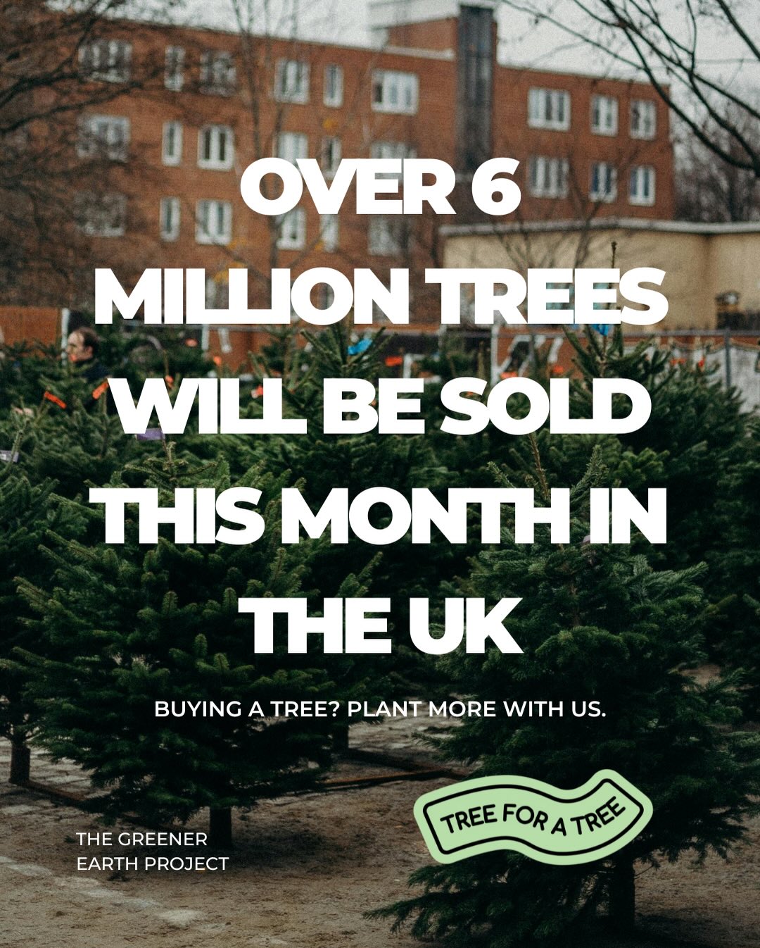 The Greener Earth Project
