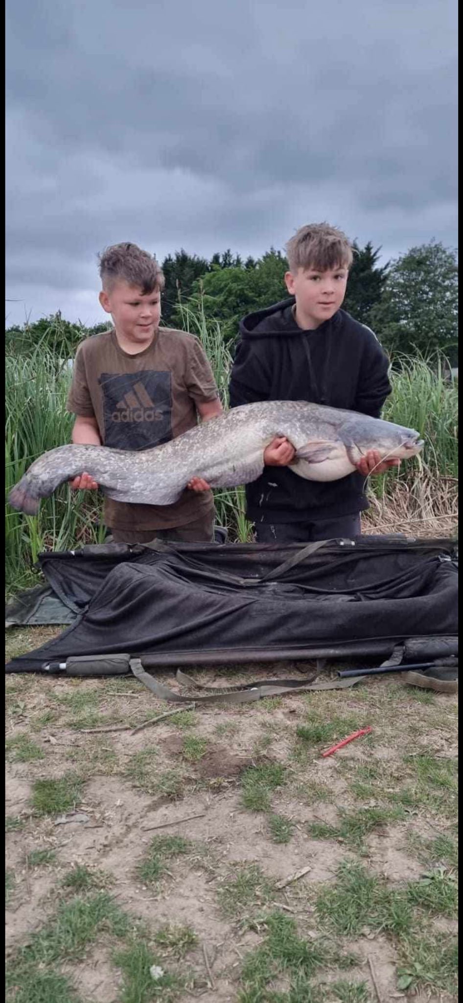 Pittlands Lakes Angling Club | Tonbridge