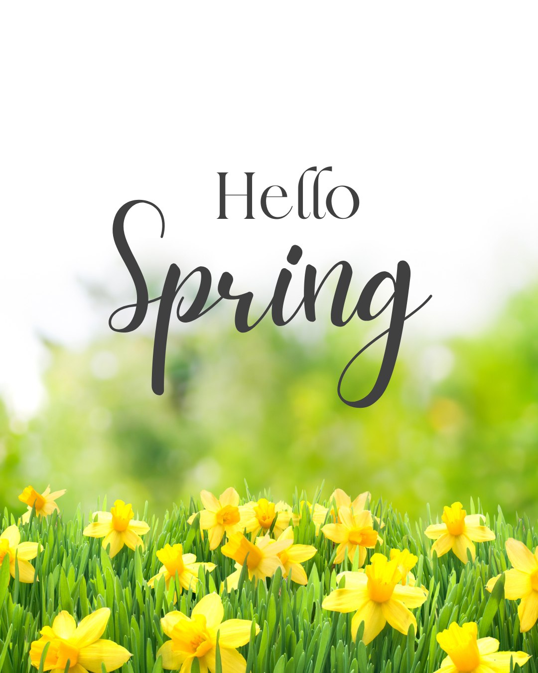 🌸 Let’s Spring Into Action! 🌸... - Lone Star Heating and Air | Facebook