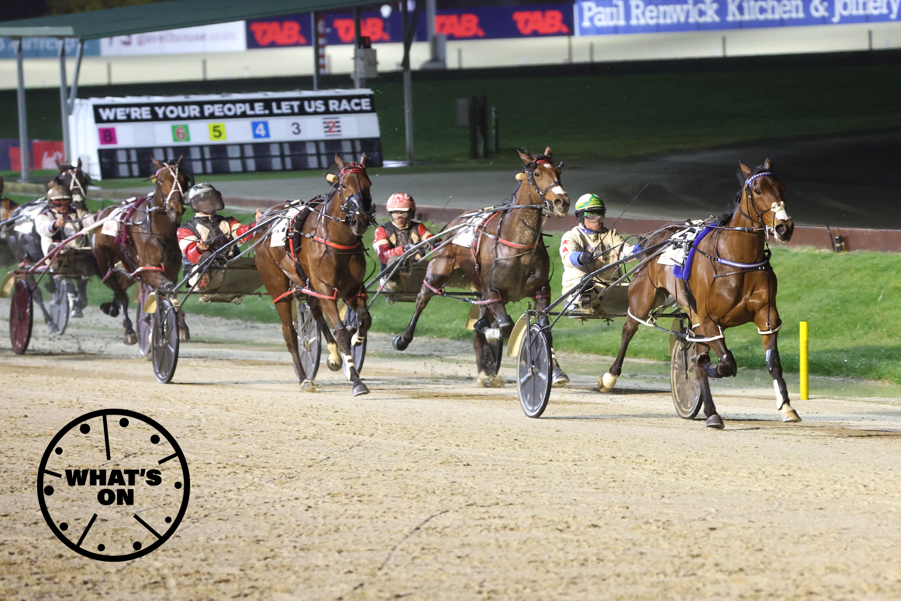 Harness Racing New Zealand | Addington