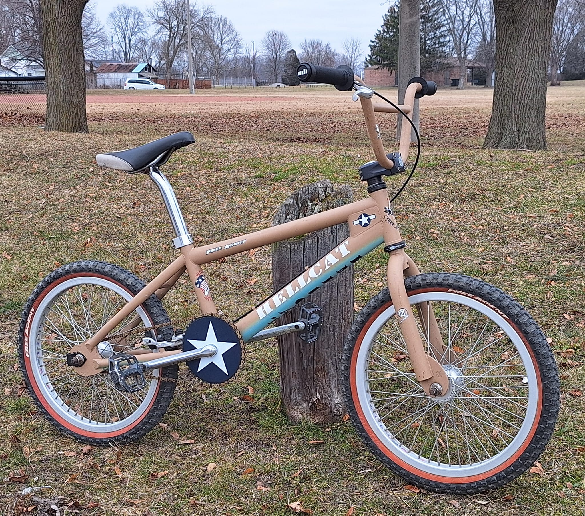 Original 2003 Free Agent Hell Cat BMX bike