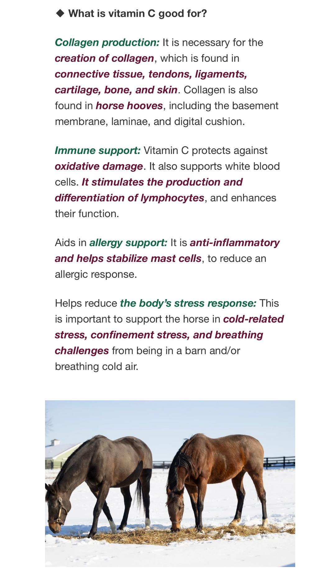 glutathione benefits for horses 🍊 WHEN MIGHT YOUR HORSE NEED EXTRA VITAMIN C? 🐴 Hard training Intense exercise can increase oxidative stress, so additional Vitamin C may help support antioxidant protection. ☀️ Hot weather Heat can Gt Brightening Set | Hypodermic Needles Near Me Bundle & save:Buy 1 Get 2 FREE