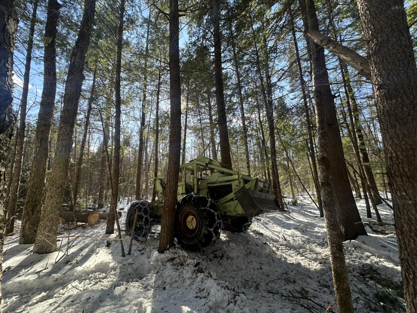 Rice Logging | Wellington ME
