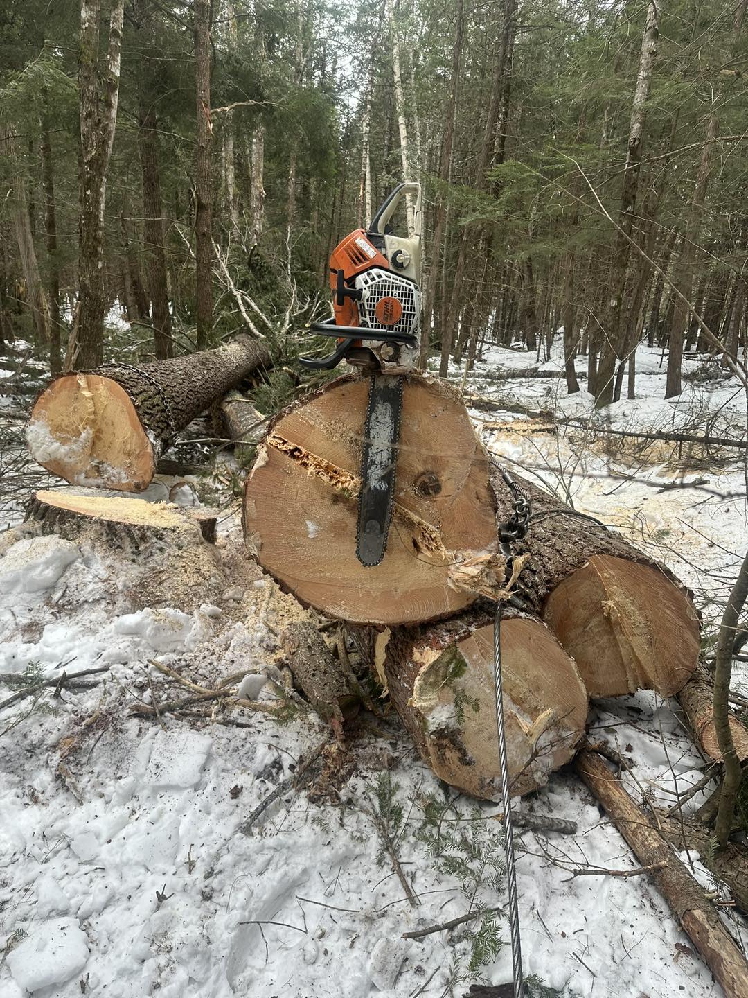 Rice Logging | Wellington ME