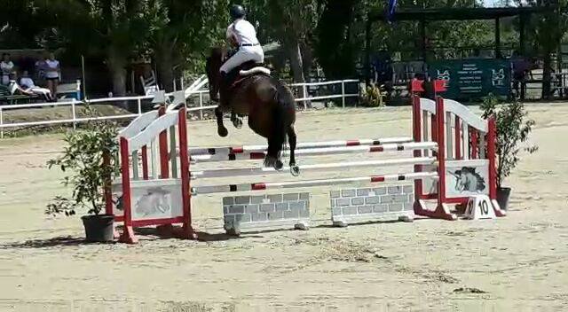 Cecilia Sabato Rider