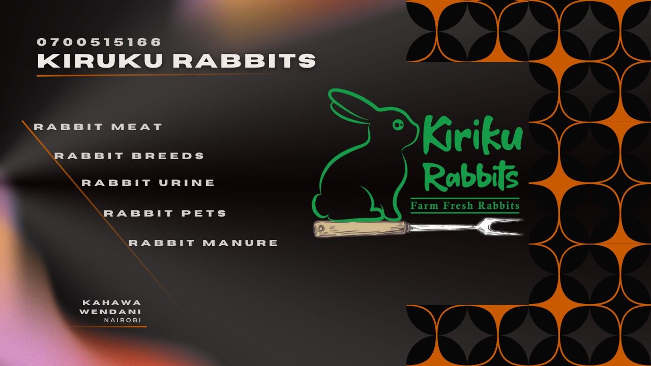 Kiriku Rabbits | Nairobi